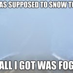 based on a true story | IT WAS SUPPOSED TO SNOW TODAY; ALL I GOT WAS FOG | image tagged in into the fog | made w/ Imgflip meme maker
