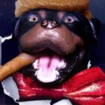 Triumph the Insult Dog