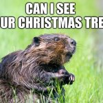 I promise I won't build a dam out of it...  maybe. | CAN I SEE 
YOUR CHRISTMAS TREE? | image tagged in eager beaver | made w/ Imgflip meme maker