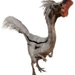Oviraptor 4 (JWD Design)