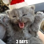 Wooooo yeah baby | 3 DAYS UNTIL CHRISTMAS! | image tagged in cat,christmas,yay,memes,yipee | made w/ Imgflip meme maker