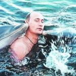 Putin Dolphins meme