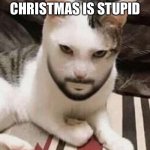 Angry cat | WHEN SOMEONE SAYS CHRISTMAS IS STUPID | image tagged in angry cat | made w/ Imgflip meme maker
