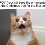 *knocks down* | POV: Your cat sees the ornaments on the Christmas tree for the first time | image tagged in amazed cat,memes,funny,cats,christmas,relatable memes | made w/ Imgflip meme maker