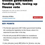 Senate Christmas bill