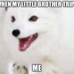 ABCDEFGHIJKLMNOPQRSTUVWXYZ | WHEN MY LITTLE BROTHER TRIPS; ME | image tagged in abcdefghijklmnopqrstuvwxyz | made w/ Imgflip meme maker