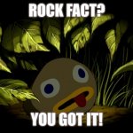 Rock fact? You got it! | ROCK FACT? YOU GOT IT! | image tagged in rock fact | made w/ Imgflip meme maker