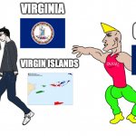 Virginy places vs Chad place | VIRGINIA; CHAD; WEST VIRGINIA; VIRGIN ISLANDS | image tagged in chad vs virgin | made w/ Imgflip meme maker