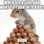 Bruh | WHEN U R A GIRL AND WANT TO TURN INTO A BOY. BRUH | image tagged in gray squirrel with pile of nuts | made w/ Imgflip meme maker