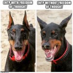Thoughts Matter | ENTP WITHOUT FREEDOM
OF THOUGHT; ENTP WITH FREEDOM
OF THOUGHT | image tagged in happy vs angry dog,entp,freedom,freedom of speech,myers briggs,mbti | made w/ Imgflip meme maker