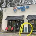 Naughty Cat Cafe - Not a strip club