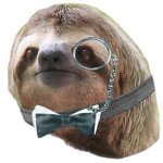 Monocle sloth transparent meme