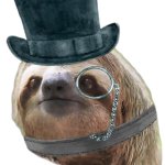 Monocle tophat sloth transparent meme