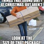 Things That Sound Dirty At Christmas | THINGS THAT SOUND DIRTY AT CHRISTMAS, BUT AREN'T:; LOOK AT THE SIZE OF THAT PACKAGE! | image tagged in package,christmas,funny,humor,pun,double entendre | made w/ Imgflip meme maker