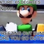But seriously why is she like that | TEMPERATURE: 65 DEGREES; MY GRANDMA:; ITS FREEZING OUT BUNDLE UP BEFORE YOU GO OUTSIDE!!!!!!! | image tagged in angry luigi,winter,grandma,cold | made w/ Imgflip meme maker