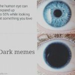 Meme ? | Dark memes | image tagged in eye pupil expand,dark humor,dank memes,memes,funny memes,trending now | made w/ Imgflip meme maker