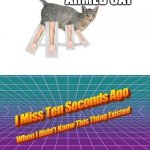 why did I make tis | ARMED CAT | image tagged in i miss 10 seconds ago | made w/ Imgflip meme maker