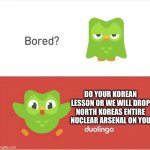 DUOLINGO BORED | DO YOUR KOREAN LESSON OR WE WILL DROP NORTH KOREAS ENTIRE NUCLEAR ARSENAL ON YOU | image tagged in duolingo bored | made w/ Imgflip meme maker