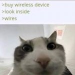 Wireless cat