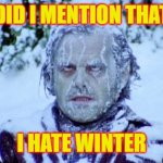 I Hate Winter | DID I MENTION THAT; I HATE WINTER | image tagged in the shining winter | made w/ Imgflip meme maker