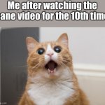 wow | Me after watching the sane video for the 10th time | image tagged in amazed cat,memes | made w/ Imgflip meme maker