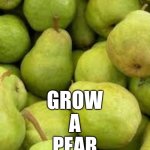 PEARS IS THE FRUIT | ONCE   IN   YOUR   LIFE; GROW
A
PEAR | image tagged in pears is the fruit | made w/ Imgflip meme maker