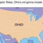 Ohio mutation | Therapist: Relax, Ohio's not gonna mutate.
Ohio: | image tagged in ohio | made w/ Imgflip meme maker
