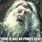 Theoden- Your IQ has no power here 001 | YOUR IQ HAS NO POWER HERE! | image tagged in theoden you have no power here | made w/ Imgflip meme maker