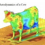 Aerodynamics of a cow meme