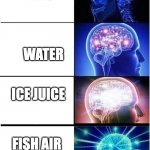 levels of intelligence | H2O; WATER; ICE JUICE; FISH AIR | image tagged in levels of intelligence | made w/ Imgflip meme maker