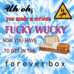 Fucky Wucky forever box meme