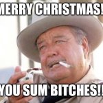 Christmas gifs | MERRY CHRISTMAS!! YOU SUM BITCHES!! | image tagged in buford t justice | made w/ Imgflip meme maker