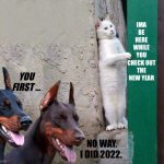 2023 | IMA BE HERE WHILE YOU CHECK OUT THE NEW YEAR; YOU FIRST …; NO WAY. I DID 2022. | image tagged in sneaky cat | made w/ Imgflip meme maker