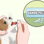 Bandu pills | BANDU PILLS | image tagged in cat medicine,dave and bambi | made w/ Imgflip meme maker