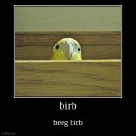 beeg birb