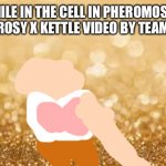 In the cell (Another video made by team Rocket) | WHILE IN THE CELL IN PHEROMOSA’S LAIR… (A ROSY X KETTLE VIDEO BY TEAM ROCKET) | image tagged in gold glitter | made w/ Imgflip meme maker