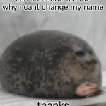 why cant i change it? | can someone tell me why i cant change my name; thanks | image tagged in waiting seal | made w/ Imgflip meme maker