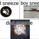 Blank Comic Panel 2x2 | girl sneeze; boy sneeze; dad sneeze | image tagged in memes,blank comic panel 2x2 | made w/ Imgflip meme maker