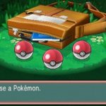 Pokemon starter choose PokeBall