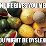 Melons | WHEN LIFE GIVES YOU MELONS; YOU MIGHT BE DYSLEXIC | image tagged in melons | made w/ Imgflip meme maker