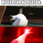 I'm sure you guys have experienced this | SILENCE: EXISTS; MY EAR FOR NO REASON:; EEEEEEEEEEEEEEEEEEEEEEEEEEEEE | image tagged in inhaling seagull,ears,silence | made w/ Imgflip meme maker