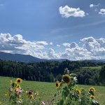 Bavarian Mountain