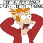 fry is freaking out | WHEN YOU SEE THE SAME MEMES OVER AND OVER AGAIN | image tagged in fry freaking out | made w/ Imgflip meme maker