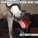 INTJ Avoidance | WHEN AN FE DOM WANTS TO KNOW HOW YOU'RE FEELING; INTJ MASTERMIND AVOIDANCE | image tagged in dodge lick,intj,mbti,myers briggs,personality,feelings | made w/ Imgflip meme maker