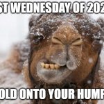 Freezing Hump Day Camel | LAST WEDNESDAY OF 2022... HOLD ONTO YOUR HUMPS | image tagged in freezing hump day camel,2022,wednesday,hump day,new year | made w/ Imgflip meme maker