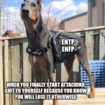 Si Inferior | ENTP
ENFP; WHEN YOU FINALLY START ATTACHING
SHIT TO YOURSELF BECAUSE YOU KNOW
YOU WILL LOSE IT OTHERWISE | image tagged in prepared dog,entp,enfp,myers briggs,mbti,personality | made w/ Imgflip meme maker