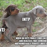 Smart Love | INTP; ENTJ; WHEN AN INTP FINALLY FINDS AN ENTJ
AND REALISES THAT SOMEONE
MATHEMATICALLY PERFECT DOES EXIST | image tagged in puppy protect,intp,entj,mbti,personality,myers briggs | made w/ Imgflip meme maker