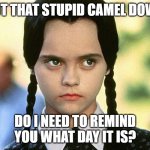 its that fun day of the week again | PUT THAT STUPID CAMEL DOWN; DO I NEED TO REMIND YOU WHAT DAY IT IS? | image tagged in wednesday,christina ricci,addams family,funny af,tv ads,movies | made w/ Imgflip meme maker