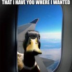 Airplane Duck | I TRAVELLED 42000 FEET JUST TO FIND YOU, AND NOW THAT I HAVE YOU WHERE I WANTED; GIVE PEAS | image tagged in airplane duck,duck | made w/ Imgflip meme maker