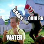 imma get water and here it co- | GRASS; OHIO RN; WATER | image tagged in the cat with the bat,ohio | made w/ Imgflip meme maker